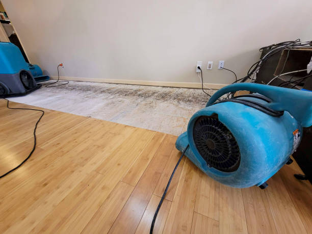 Professional Emergency Water Damage technician working in Roopville, GA
